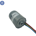 28mm Diameter 6V 12V 24V High Speed Brushless BLDC Fan Motor